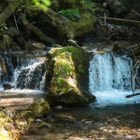 Berg&selig Ferienhaus 公寓 普法尔韦尔芬