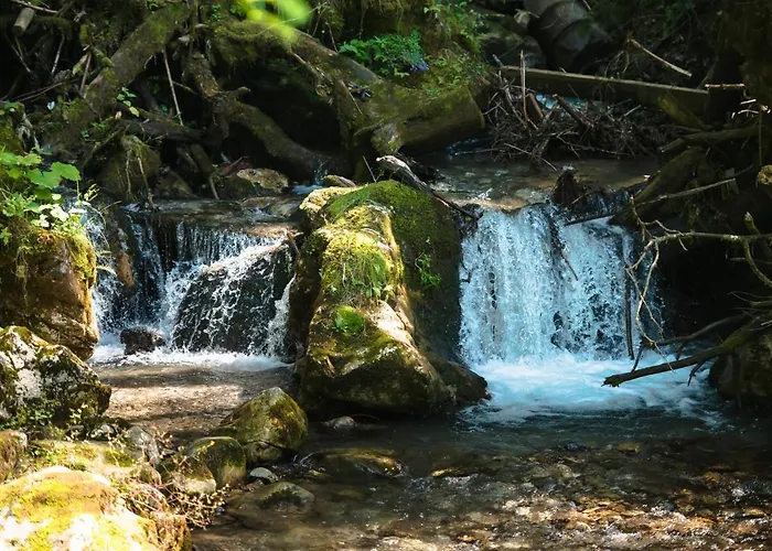 Berg&selig Ferienhaus Lejlighed Pfarrwerfen